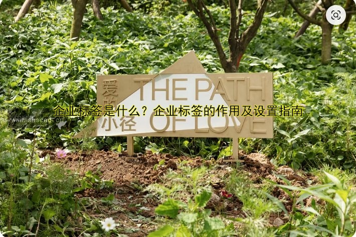 企業(yè)標(biāo)簽是什么？企業(yè)標(biāo)簽的作用及設(shè)置指南